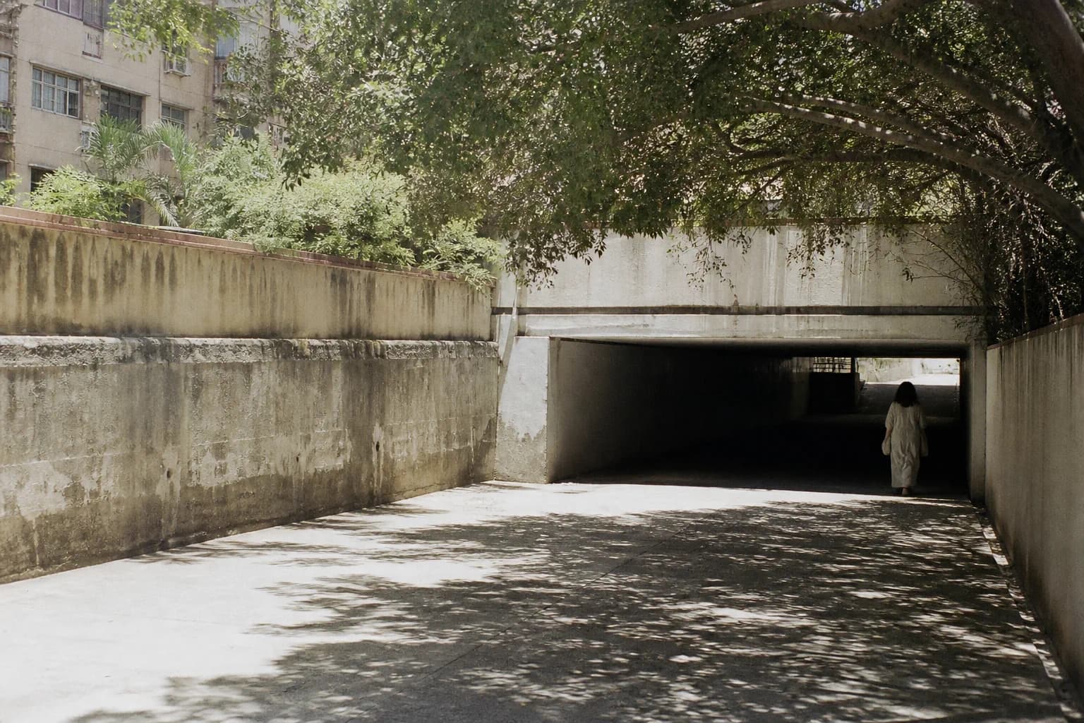 A pedestrian underpass of dappled shade cast by a canopy of mature trees, hard sunlight beyond the far end.